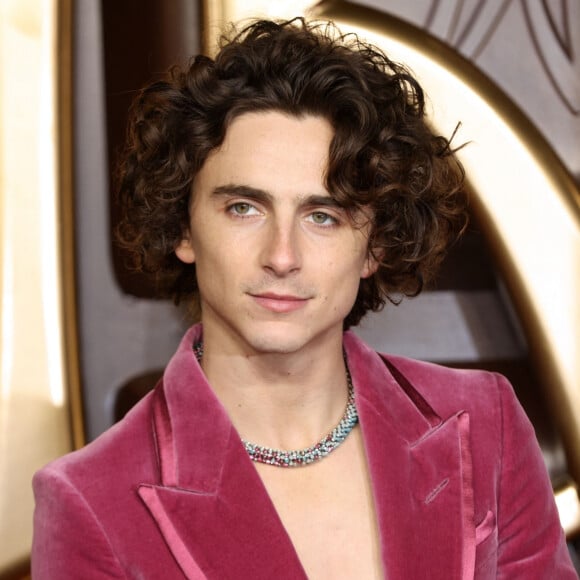 Timothée Chalamet s'est discrètement mêlé aux participants, caché sous une casquette et un masque noir
Londres, Royaume-Uni - Première mondiale de 'Wonka' au Royal Festival Hall de Londres : Timothee Chalamet