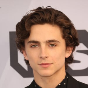 Timothée Chalamet - Photocall - 25ème cérémonie annuelle des Screen Actors Guild Awards au Shrine Audritorium à Los Angeles, le 27 janvier 2019. 