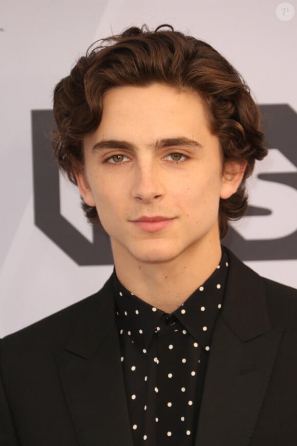 Timothée Chalamet - Photocall - 25ème cérémonie annuelle des Screen Actors Guild Awards au Shrine Audritorium à Los Angeles, le 27 janvier 2019. 