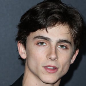 Timothee Chalamet - Les célébrités posent lors du photocall du 22ème Hollywood Film Awards à Los Angeles le 4 novembre 2018 