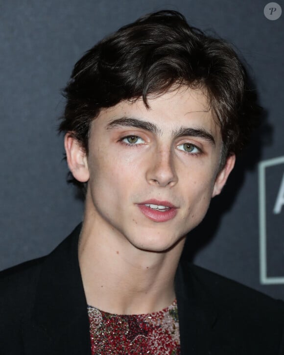 Timothee Chalamet - Les célébrités posent lors du photocall du 22ème Hollywood Film Awards à Los Angeles le 4 novembre 2018 