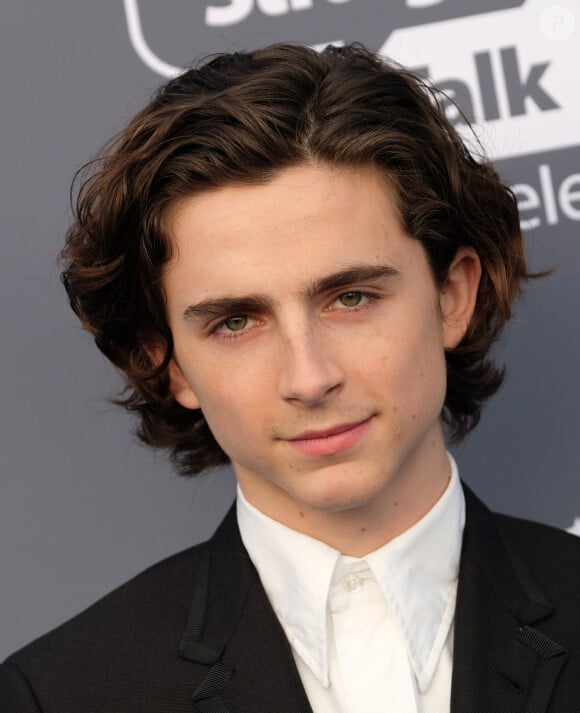 Timothee Chalamet lors des "23ème Critics Choice Awards" au Barker Hangar à Los Angeles, le 11 janvier 2018. © Chris Delmas/Bestimage 