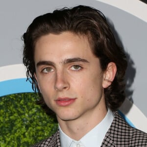 Timothee Chalamet - People à la soirée 'GQ Men of Year 2017' au Château Marmont à Los Angeles, le 7 décembre 2017. 