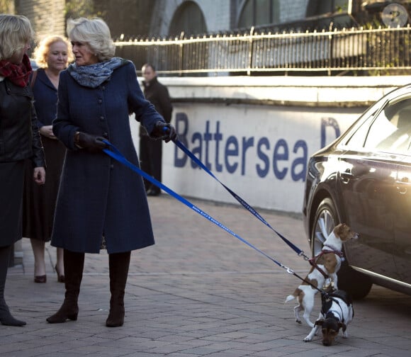 Camilla Parker Bowles, duchesse de Cornouailles, visite le chenil "Battersea Dogs & Cats Home" a Londres. Le 12 decembre 2012 