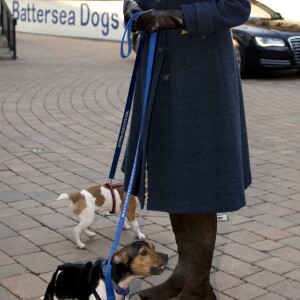 Camilla Parker Bowles, duchesse de Cornouailles, visite le chenil "Battersea Dogs & Cats Home" a Londres. Le 12 decembre 2012 