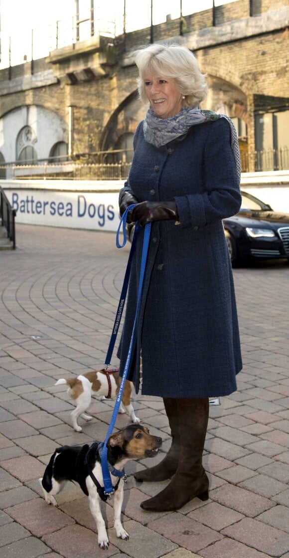 Camilla Parker Bowles, duchesse de Cornouailles, visite le chenil "Battersea Dogs & Cats Home" a Londres. Le 12 decembre 2012 