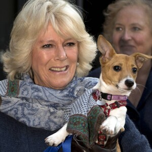 Camilla Parker Bowles, duchesse de Cornouailles, visite le chenil "Battersea Dogs & Cats Home" a Londres. Le 12 decembre 2012 