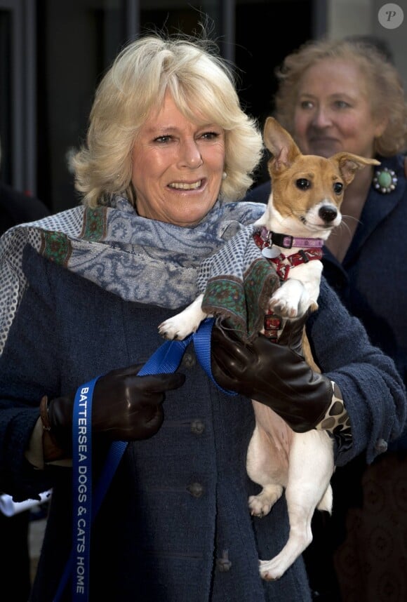 Camilla Parker Bowles, duchesse de Cornouailles, visite le chenil "Battersea Dogs & Cats Home" a Londres. Le 12 decembre 2012 