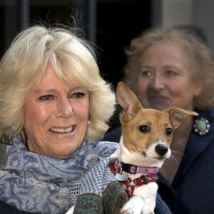 La Duchesse de Cornouailles, Camilla Parker Bowles, se rend a un refuge pour chiens Battersea Dogs & Cats a Londres le 12 decembre 2012 