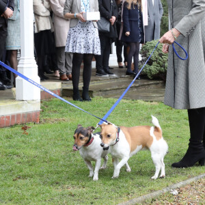 Son autre jack russell
Camilla Parker-Bowles, duchesse de Cornouailles fait faire un parcours agility à son chien "Beth" lors de sa visite dans un refuge pour animaux à Old Windsor le 1er février 2017. 