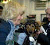 Le meme refuge où elle viendra chercher un an plus tard Bluebell
La Duchesse de Cornouailles, Camilla Parker Bowles, se rend a un refuge pour chiens Battersea Dogs & Cats a Londres le 12 decembre 2012 