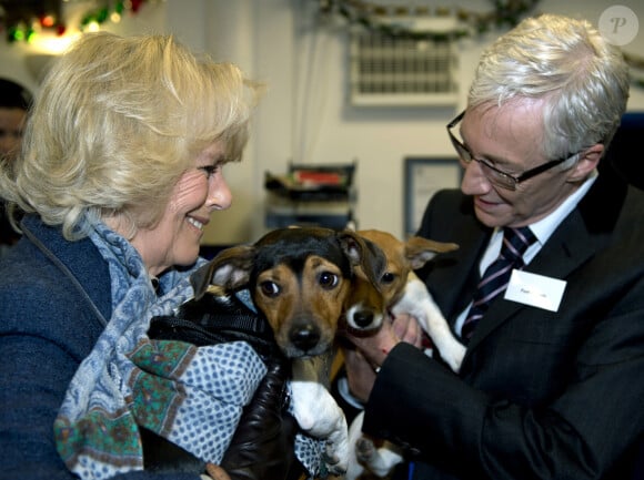 Le meme refuge où elle viendra chercher un an plus tard Bluebell
La Duchesse de Cornouailles, Camilla Parker Bowles, se rend a un refuge pour chiens Battersea Dogs & Cats a Londres le 12 decembre 2012 