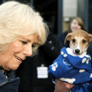 La Duchesse de Cornouailles, Camilla Parker Bowles, se rend a un refuge pour chiens Battersea Dogs & Cats a Londres le 12 decembre 2012  12th December, 2012: The Duchess of Cornwall (L) speaks with television presenter Paul