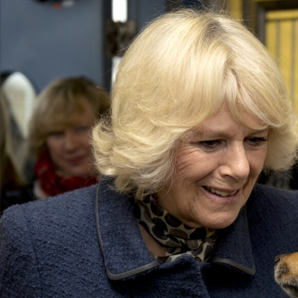 La Duchesse de Cornouailles, Camilla Parker Bowles, se rend a un refuge pour chiens Battersea Dogs & Cats a Londres le 12 decembre 2012 