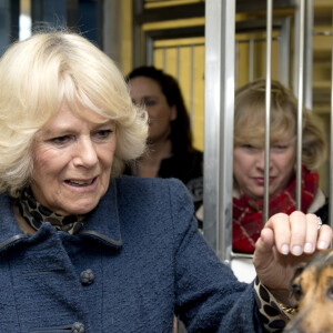 La Duchesse de Cornouailles, Camilla Parker Bowles, se rend a un refuge pour chiens Battersea Dogs & Cats a Londres le 12 decembre 2012 