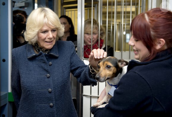 La Duchesse de Cornouailles, Camilla Parker Bowles, se rend a un refuge pour chiens Battersea Dogs & Cats a Londres le 12 decembre 2012 