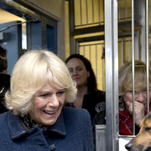 La Duchesse de Cornouailles, Camilla Parker Bowles, se rend a un refuge pour chiens Battersea Dogs & Cats a Londres le 12 decembre 2012 