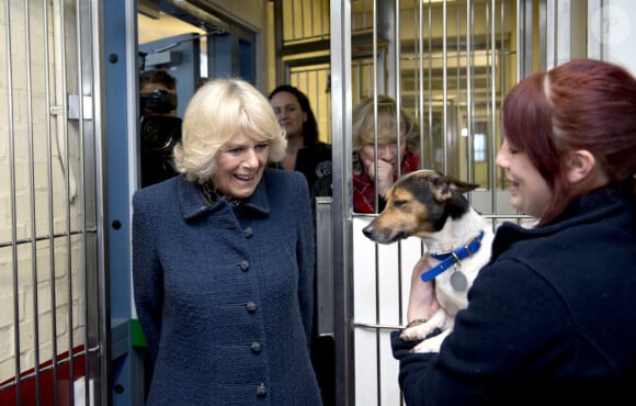 La Duchesse de Cornouailles, Camilla Parker Bowles, se rend a un refuge pour chiens Battersea Dogs & Cats a Londres le 12 decembre 2012 