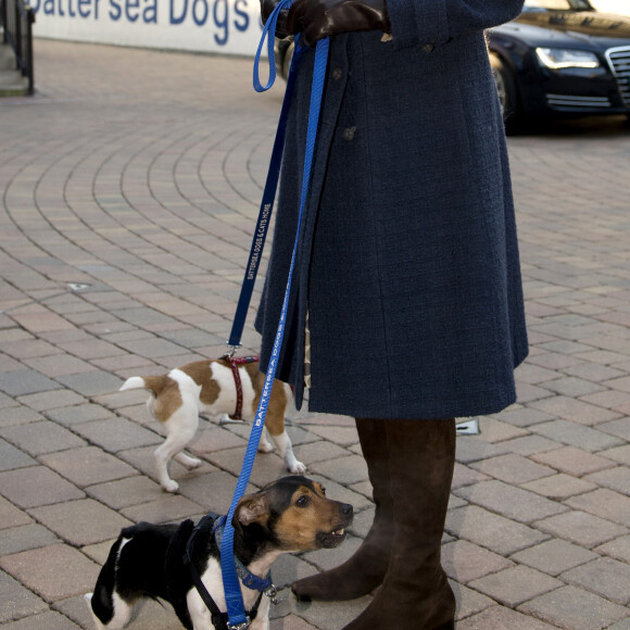 La Duchesse de Cornouailles, Camilla Parker Bowles, avec ses 2 chiens Bluebell et Beth , se rend a un refuge pour chiens Battersea Dogs & Cats a Londres le 12 decembre 2012 