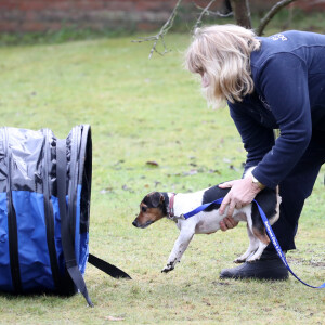 Camilla Parker-Bowles, duchesse de Cornouailles fait faire un parcours agility à son chien "Beth" lors de sa visite dans un refuge pour animaux à Old Windsor le 1er février 2017. 