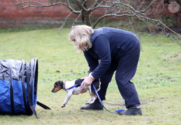 Camilla Parker-Bowles, duchesse de Cornouailles fait faire un parcours agility à son chien "Beth" lors de sa visite dans un refuge pour animaux à Old Windsor le 1er février 2017. 