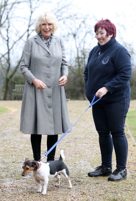 Camilla Parker-Bowles, duchesse de Cornouailles fait faire un parcours agility à son chien "Beth" lors de sa visite dans un refuge pour animaux à Old Windsor le 1er février 2017. 