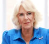 La reine Camilla de retour mais face à une nouvelle désillusion
Camilla Parker Bowles, reine consort d'Angleterre, rencontre des participants à une série d'ateliers d'écriture lors de sa visite à la bibliothèque Green Square à Sydney. 