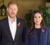 Contrairement au prince William et à Kate Middleton, Meghan Markle et le prince Harry ne fêteront pas Noël avec la famille royale. 
Le prince Harry, duc de Sussex et Meghan Markle, duchesse de Sussex dans un message vidéo à la Conférence ministérielle mondiale inaugurale sur la violence contre les enfants en Colombie