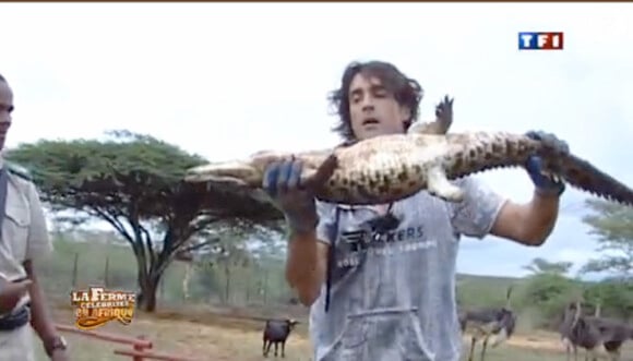 Greg se bat contre un crocodile