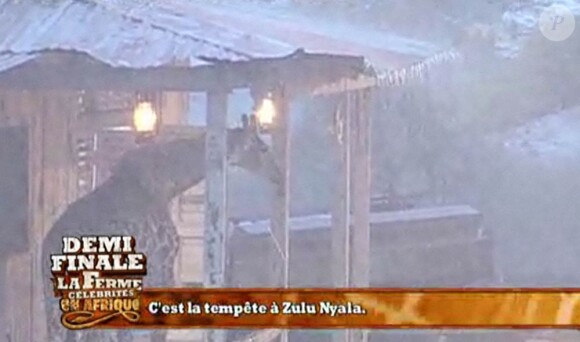 Une tempête tropicale, qui marque la fin de l'été sud-africain, s'abat sur Zulu Nyala... Les animaux sont effrayés, heureusement, les fermiers sont là pour les rassurer.