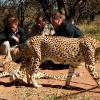 Le prince William et Harry visitaient mardi 15 juin une réserve naturelle au Botswana