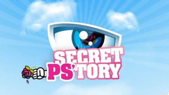Endemol fait fermer le site parodique et politique de Secret Story !