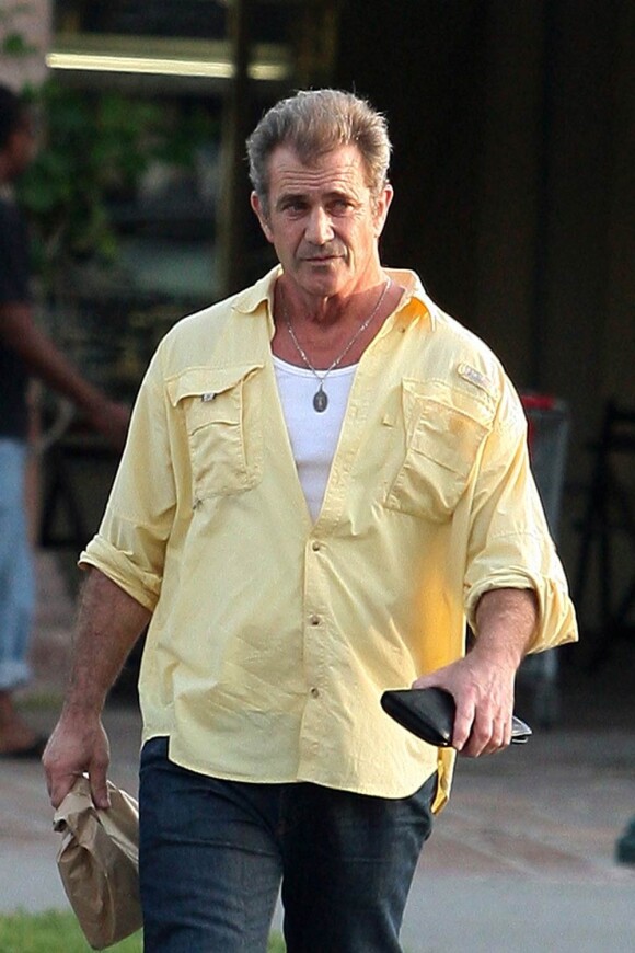 Mel Gibson ne tournera pas dans Very Bad Trip 2.