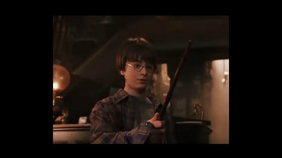 Harry Potter : Près de dix ans d'aventures pour un final époustouflant !