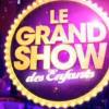 Liane Foly présentera un nouveau numéro du Grand Show des Enfants, au premier trimestre 2011, sur TF1.