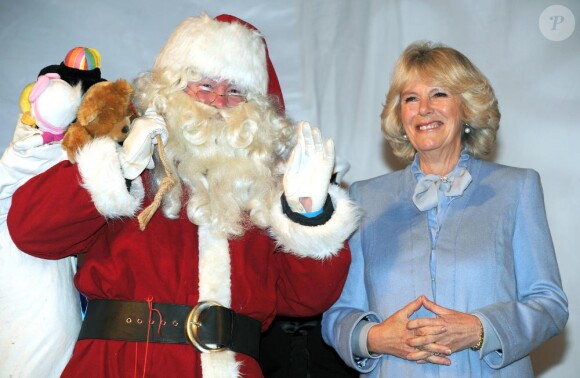 Jeudi 18 novembre 2010, Camilla Parker Bowles procédait à l'inauguration des illuminations de Noël de la ville de Bath. Sa prestation fut... spectaculaire !