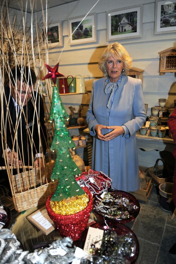 Jeudi 18 novembre 2010, Camilla Parker Bowles procédait à l'inauguration des illuminations de Noël de la ville de Bath. Sa prestation fut... spectaculaire !