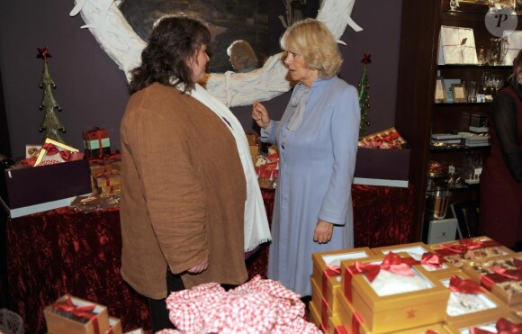 Jeudi 18 novembre 2010, Camilla Parker Bowles procédait à l'inauguration des illuminations de Noël de la ville de Bath. Sa prestation fut... spectaculaire !