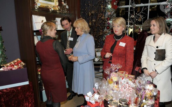 Jeudi 18 novembre 2010, Camilla Parker Bowles procédait à l'inauguration des illuminations de Noël de la ville de Bath. Sa prestation fut... spectaculaire !