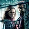 Des images de Harry Potter et les reliques de la mort - partie 1, en salles depuis le 24 novembre 2010.