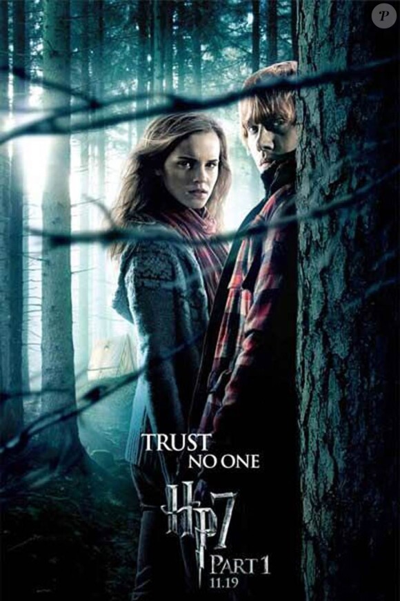 Des images de Harry Potter et les reliques de la mort - partie 1, en salles depuis le 24 novembre 2010.