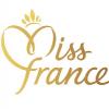 l'élection de Miss France 2011 est diffusée sur TF1, samedi 4 décembre 2010.