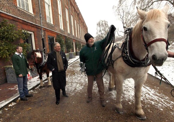 Le 3 décembre 2010, le prince Charles réceptionnait son sapin de Noël, porté par un Percheron. Son épouse Camilla, dans le même temps, se démultipliait entre inaugurations et rencontres avec des écoliers.