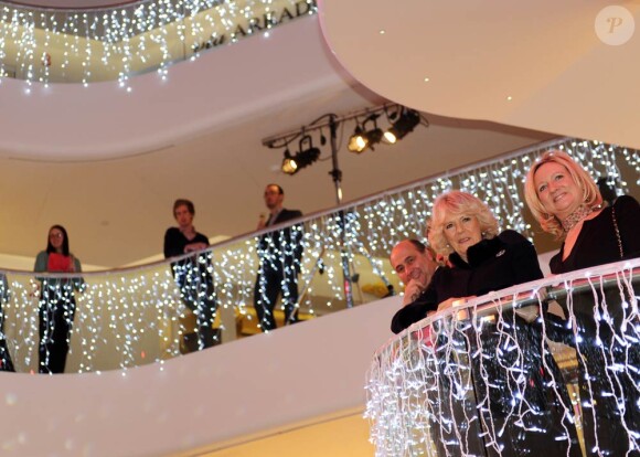 Le 3 décembre 2010, le prince Charles réceptionnait son sapin de Noël, porté par un Percheron. Son épouse Camilla, dans le même temps, se démultipliait entre inaugurations et rencontres avec des écoliers.