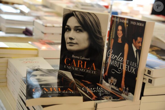 Le livre sur Carla Bruni-Sarkozy écrit par Michaël Darmon.