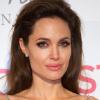 Angelina Jolie campe la cinquième position du classement des stars de cinéma les plus appréciées. La belle a de sérieux atouts pour convaincre l'Amérique !