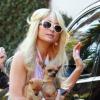 Paris Hilton ne cache plus ses rondeurs... Ces clichés l'illustrant avec ses chihuahuas à Los Angeles, le dimanche 23 janvier, font quasiment office de preuve.