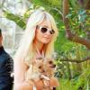Paris Hilton ne cache plus ses rondeurs... Ces clichés l'illustrant avec ses chihuahuas à Los Angeles, le dimanche 23 janvier, font quasiment office de preuve.
