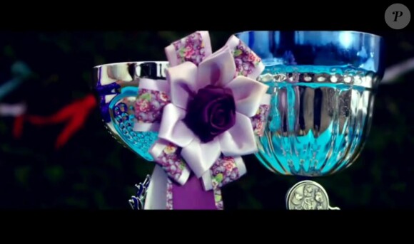 Images extraites du clip Kiss Me Forever de Julien Doré, février 2011
