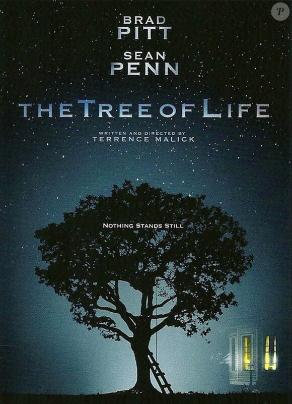 Des images de The Tree of Life, de Terrence Malick, en salles le 18 mai 2011.